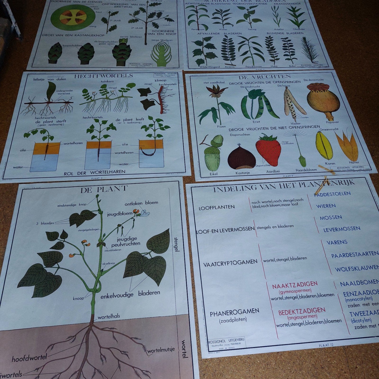 11 dubbelzijdige schoolplaten, Ophalen