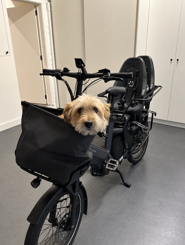 1x Fietsstoel Thule Yepp 2 Maxi, Yepp (Thule), 0 à 18 kg, Repose-pieds, Comme neuf