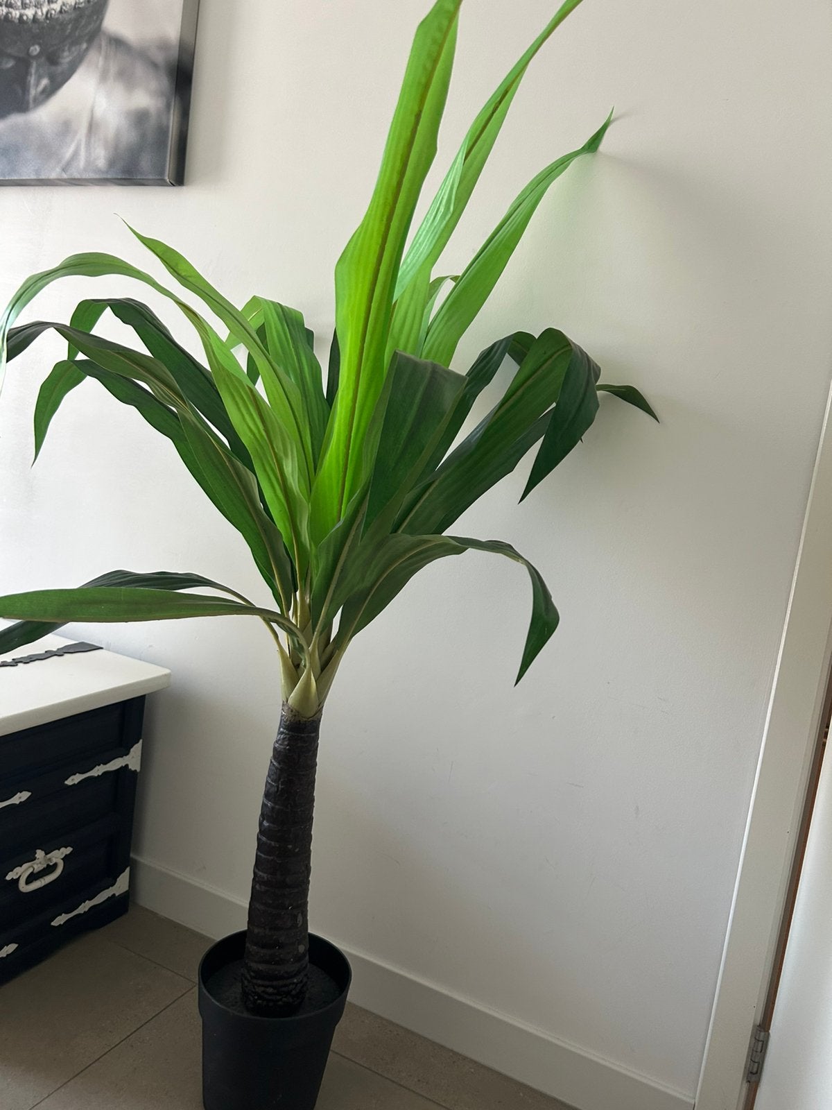 Fausse plante 150 cm, Huis en Inrichting, Ophalen, Zo goed als nieuw