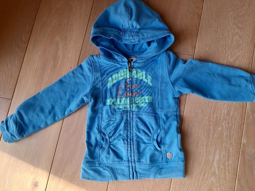 gilet CKS blauw of roos maat 92 of 2 jaar, Gebruikt, Meisje, Ophalen of Verzenden, Trui of Vest