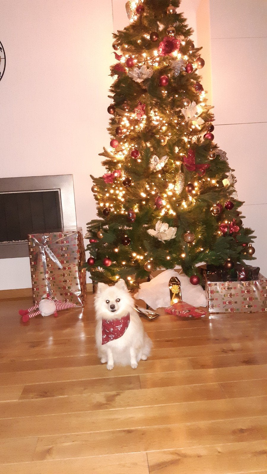 noël, Enlèvement, Comme neuf