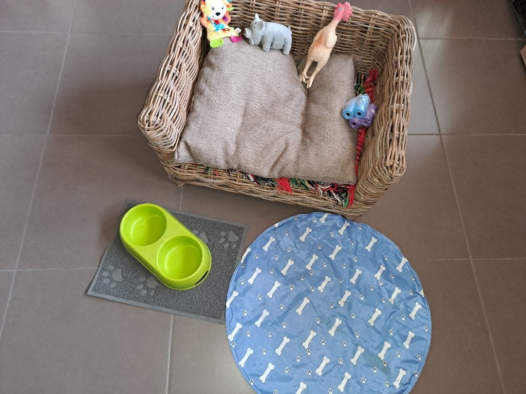hondenuitzet, Enlèvement, Utilisé, Panier pour chien