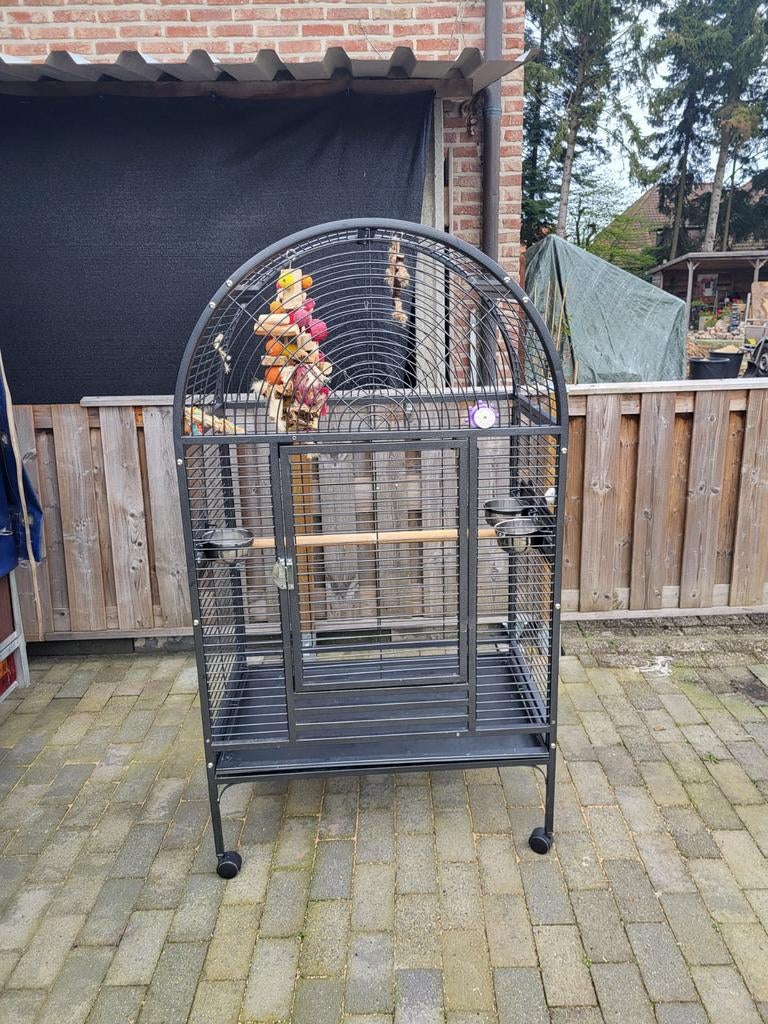 Vogelkooi, papegaaienkooi, Ophalen, Gebruikt, Metaal, Vogelkooi