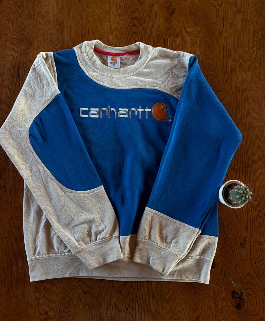 Carhartt Trui – S – Perfect te Dragen, Ophalen of Verzenden, Zo goed als nieuw, Maat 46 (S) of kleiner, Blauw