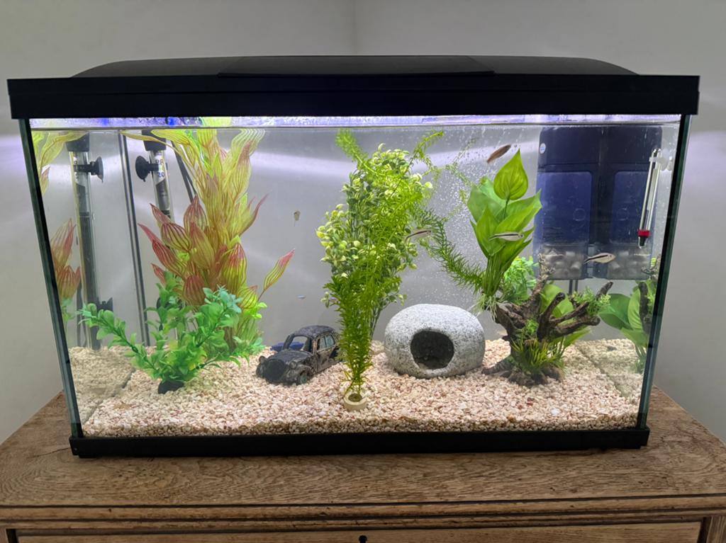 Aquarium, Enlèvement, Comme neuf, Filter