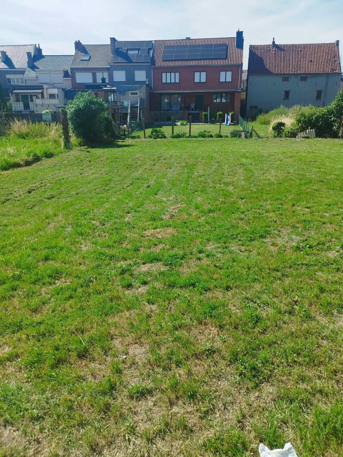 Denderleeuw bouwgrond, Jardin & Terrasse, Enlèvement ou Envoi