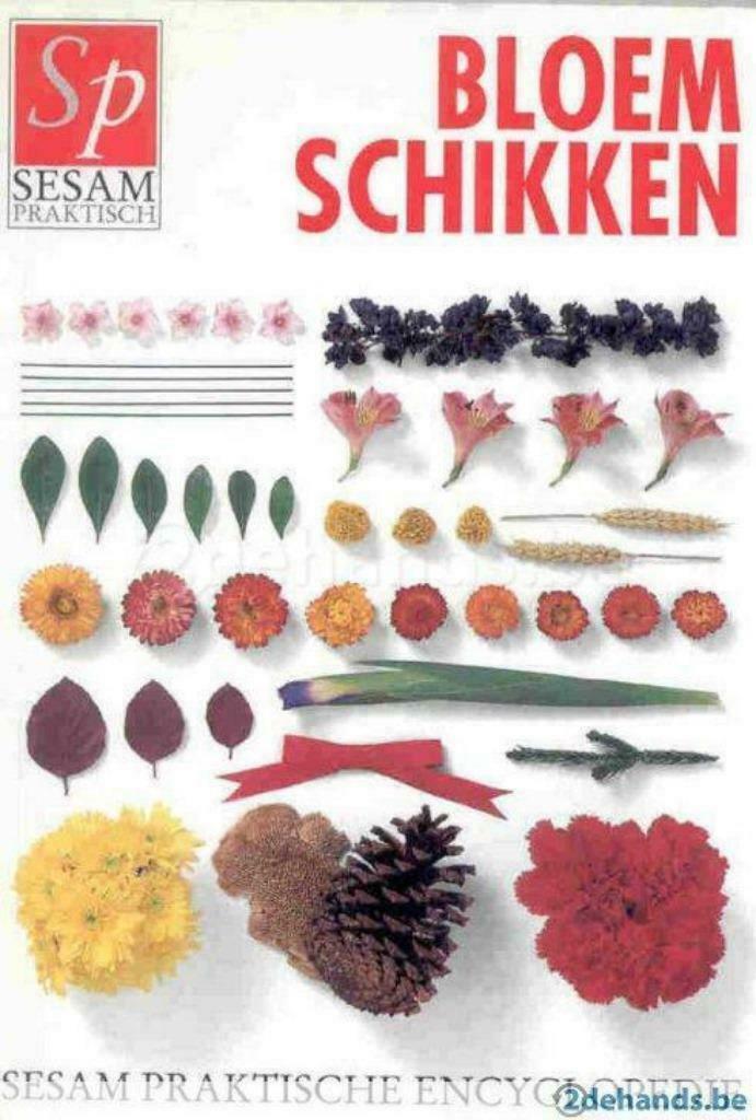 Sesam Praktisch Bloemschikken - 240 blz, Verzenden, Gelezen