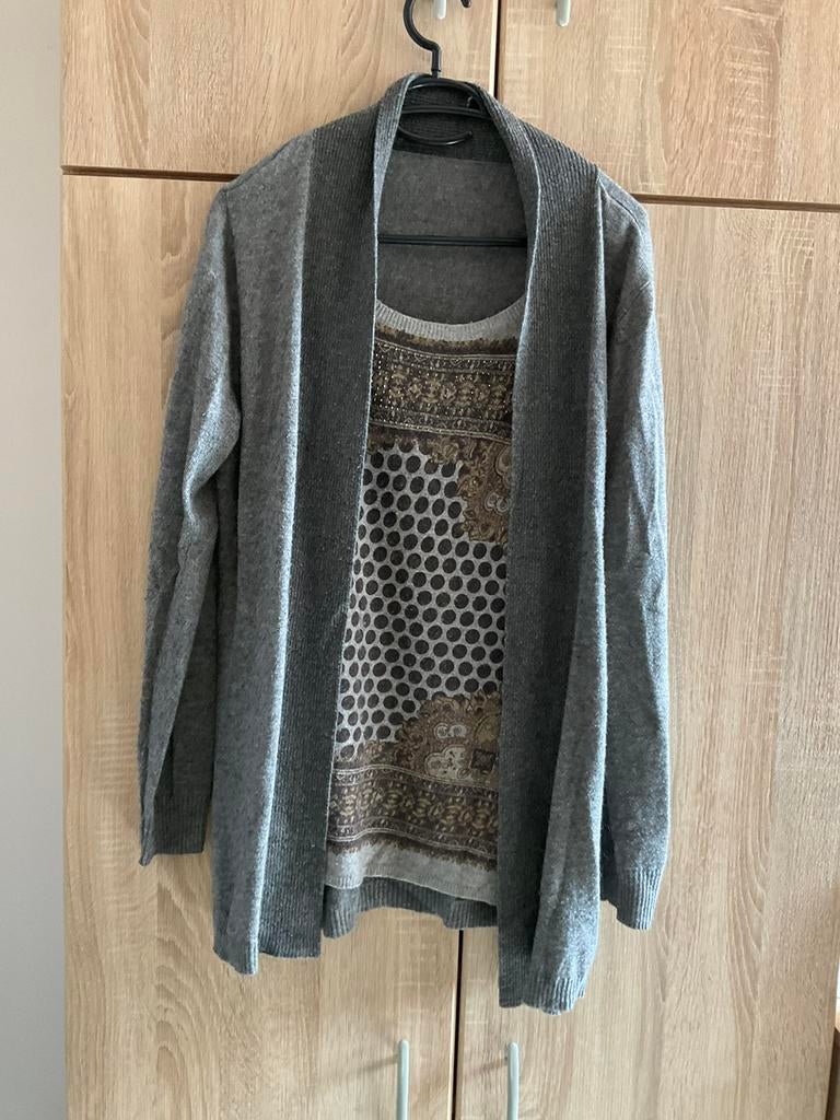 Grijze vest met shirt, maat L, Ophalen of Verzenden, Zo goed als nieuw, Maat 42/44 (L), Grijs