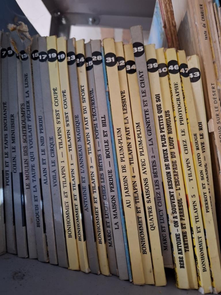 Livres anciens, Enlèvement ou Envoi
