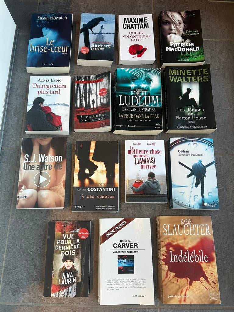 Lot 15 livres brochés (pas livres poche), Enlèvement