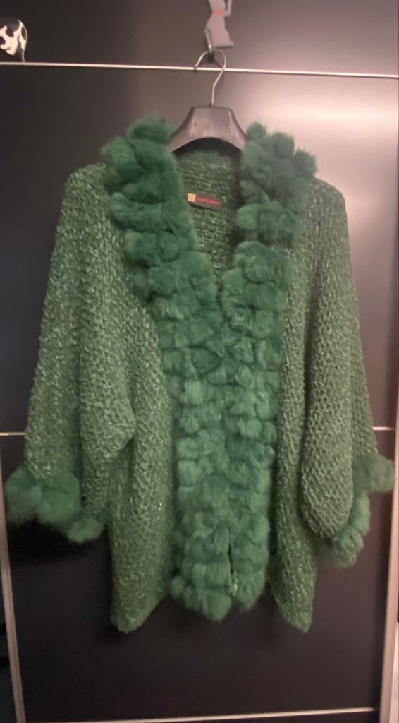 Groene gilet met lange mouwen, Maat 38/40 (M), Ophalen of Verzenden, Zo goed als nieuw, Purplerose