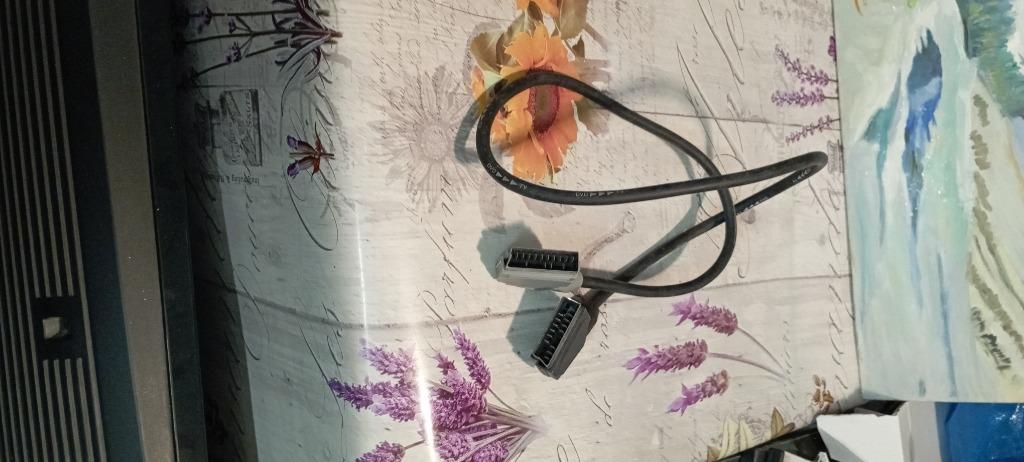 Câble péritel, Audio, Tv en Foto, Audiokabels en Televisiekabels, Ophalen of Verzenden, Gebruikt, Minder dan 2 meter, Scartkabel