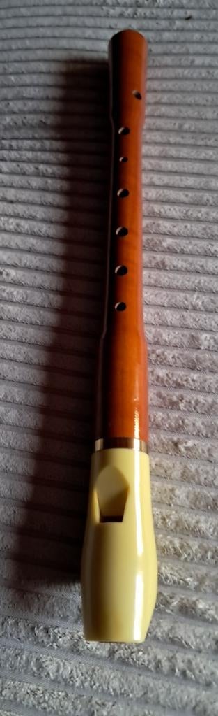 Enregistreur HOHNER, Musique & Instruments, Enlèvement, Comme neuf