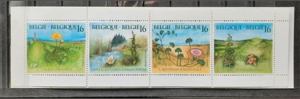 België: OBP 2572/75-B25 ** Natuur 1994., Frankeerzegel, Ophalen of Verzenden, Zonder stempel, Postfris