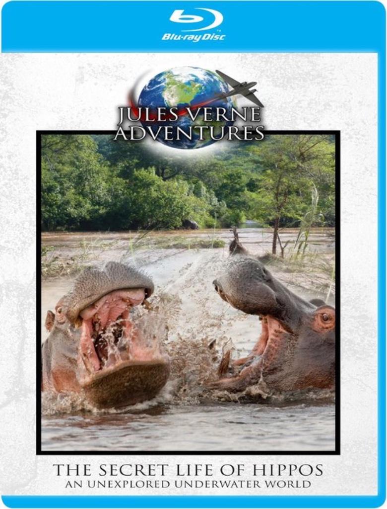 Jules Verne - The Secret Life Of Hippos dvd + blu ray, Enlèvement ou Envoi