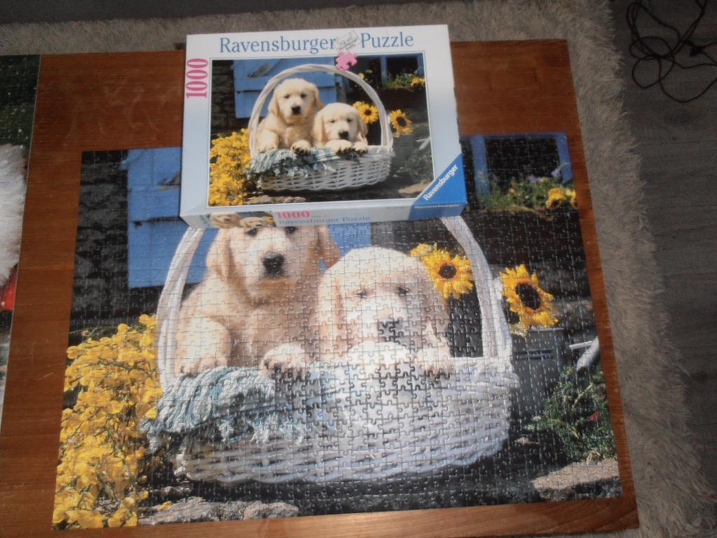 Puzzel Golden Retrieverpuppy's 1000 stukjes (Ravensburger), Ophalen of Verzenden