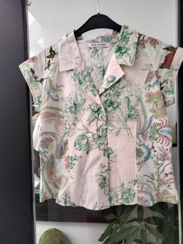 Bloesje met kapmouwtjes.Bruno Antognini.maat 38., Vêtements | Femmes, Enlèvement ou Envoi, Comme neuf, Taille 38/40 (M)