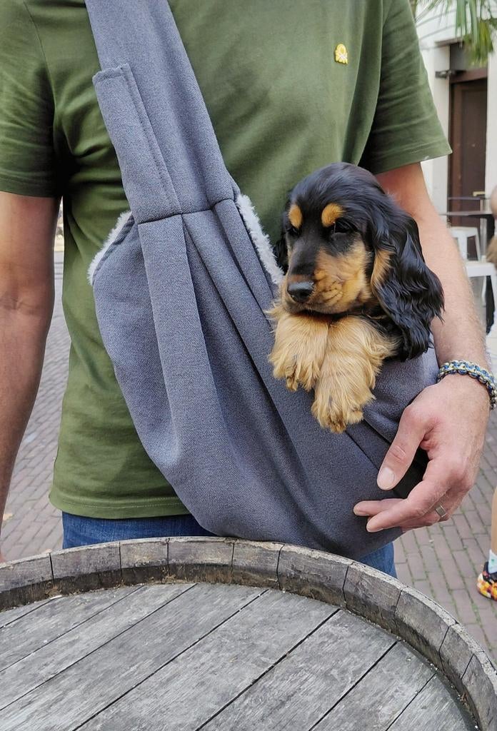 Sac pour chiot, Enlèvement