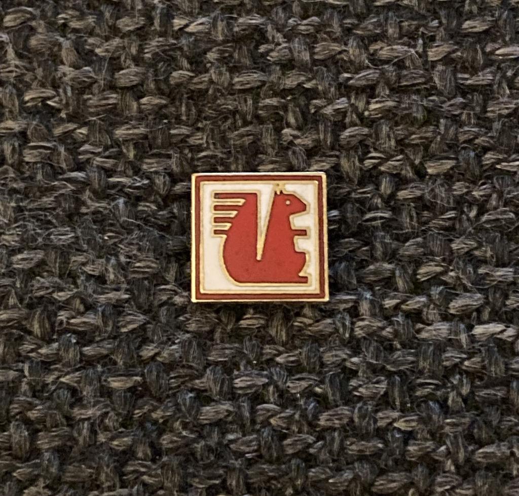 PIN - EEKHOORN - ECUREUIL - SQUIRREL, Envoi, Utilisé, Animal et Nature, Insigne ou Pin's