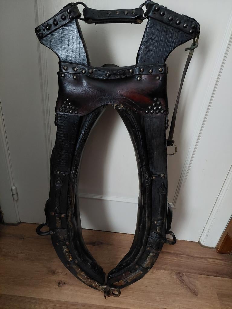 Paardenhaam in prima staat. 20 euro, Ophalen, Zo goed als nieuw