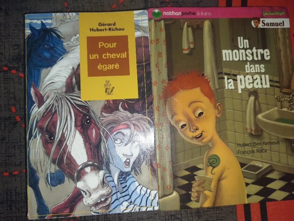 Livre scolaire, Enlèvement ou Envoi, Comme neuf, Frison