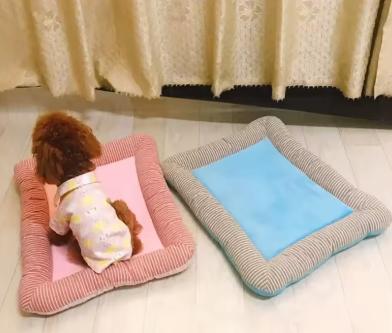 Coussin rafraîchissant pour chiens et chats, Animaux & Accessoires, Enlèvement ou Envoi, Neuf
