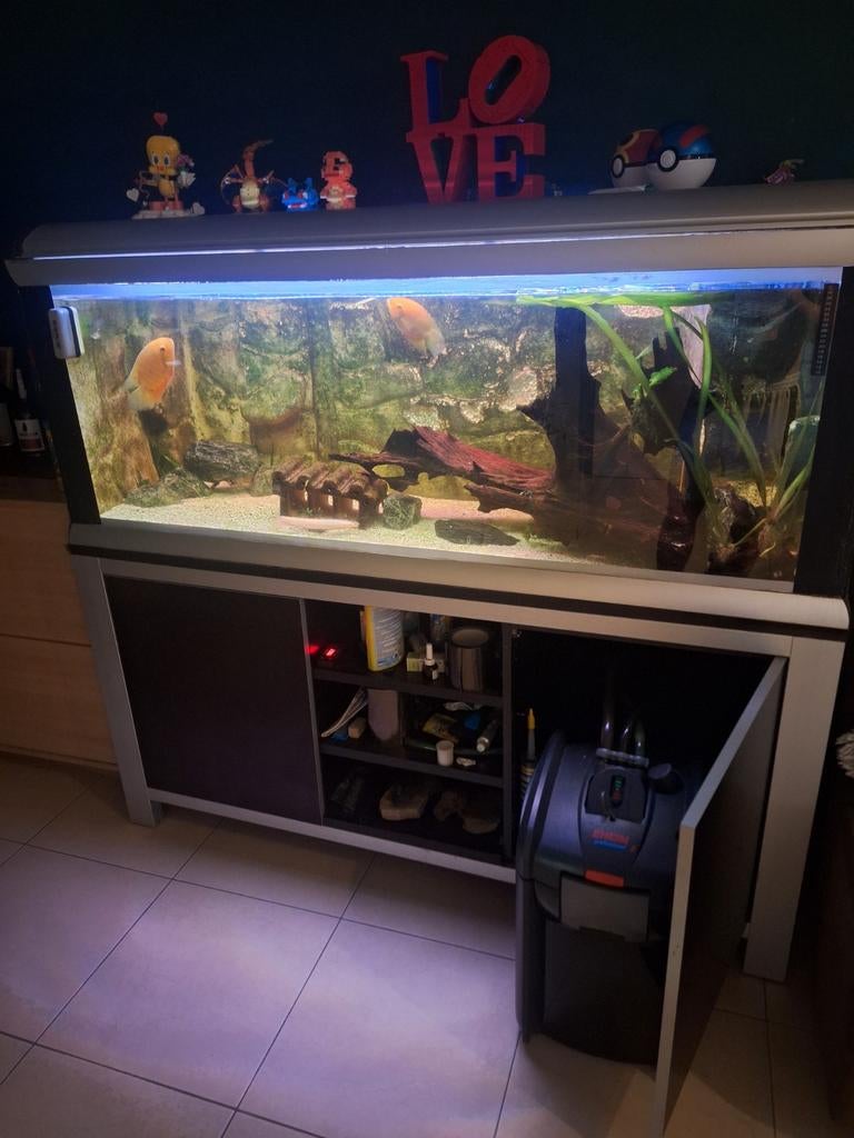 Groot aquarium 160cm, Enlèvement
