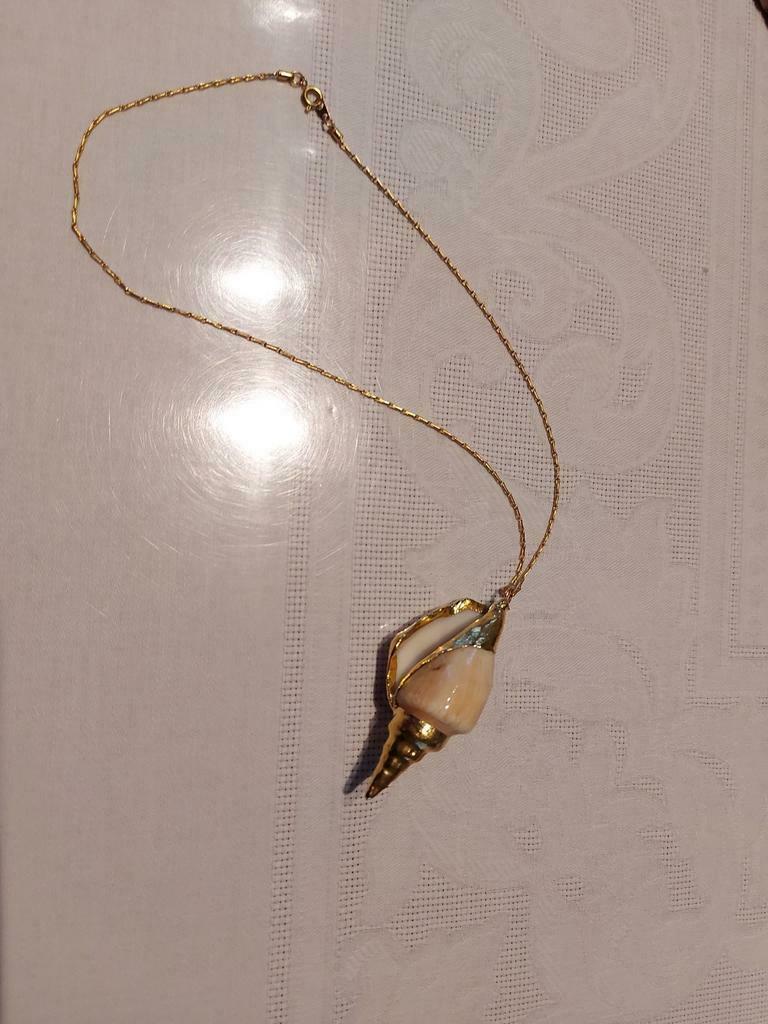 Sierraad schelp, Ophalen of Verzenden