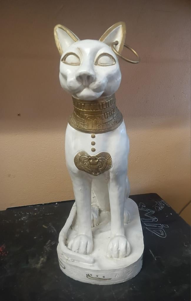 Egyptische kat, Ophalen