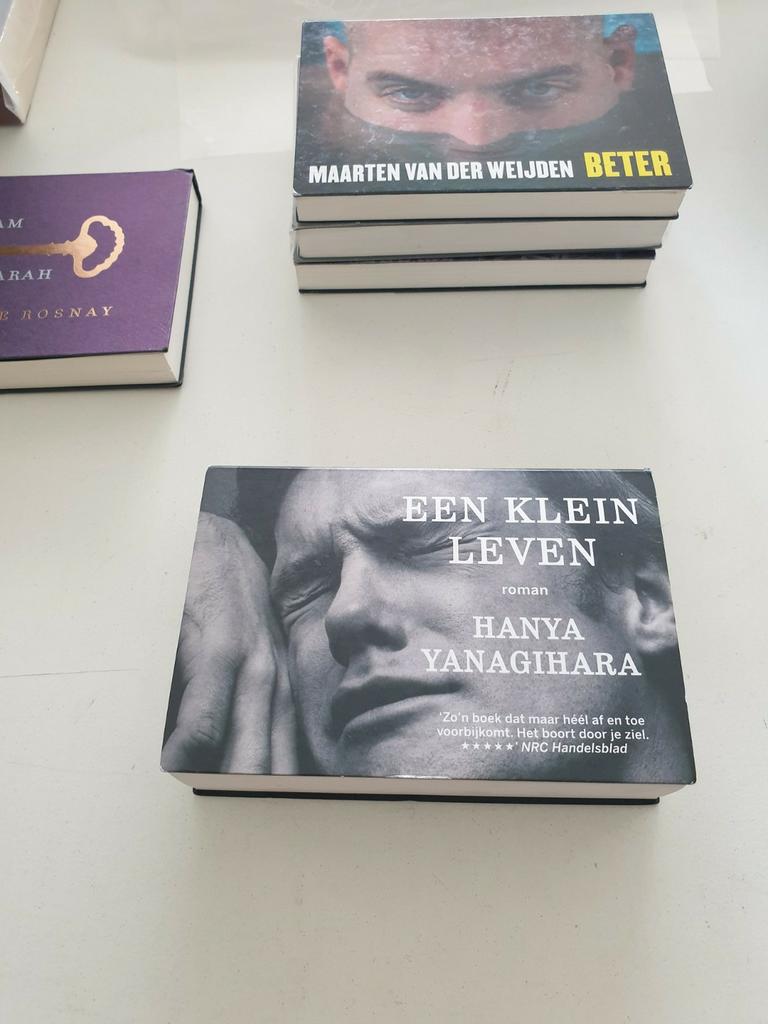 Hanya Yanagihara - Een klein leven. DWARSLIGGER NR 469, Boeken, Ophalen of Verzenden, Zo goed als nieuw, Hanya Yanagihara