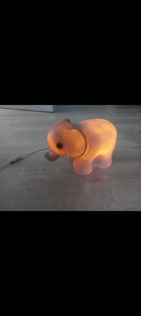 Nachtlampje olifant, Enlèvement