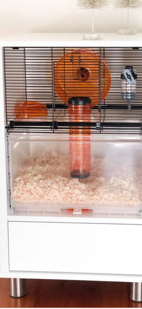 Leuke hamsterkooi Omlet, Dieren en Toebehoren, Ophalen, Nieuw