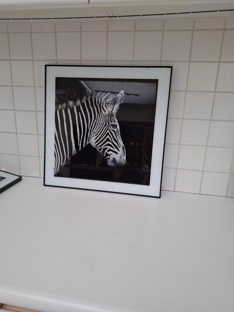 2 kaders 50 op 50, Ophalen