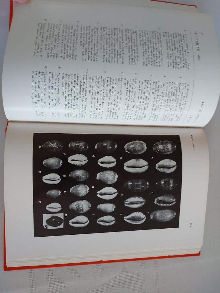 Les coquillages, Ophalen of Verzenden, Zo goed als nieuw