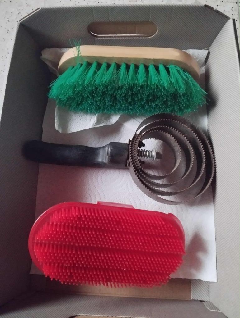 3 brosses pansage pour poney ou cheval neuf, Animaux & Accessoires, Neuf, Vampira1804@hotmail.com, Enlèvement ou Envoi, Brosses