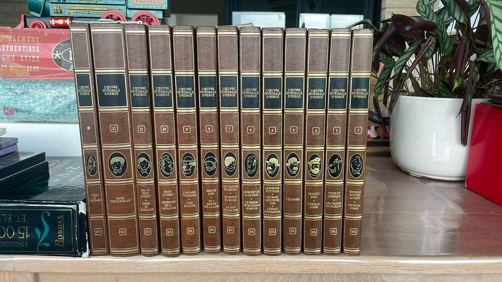 Rombaldi série 13 tomes tintin Hergé, Enlèvement ou Envoi, Série complète ou Série, Utilisé, Hergé