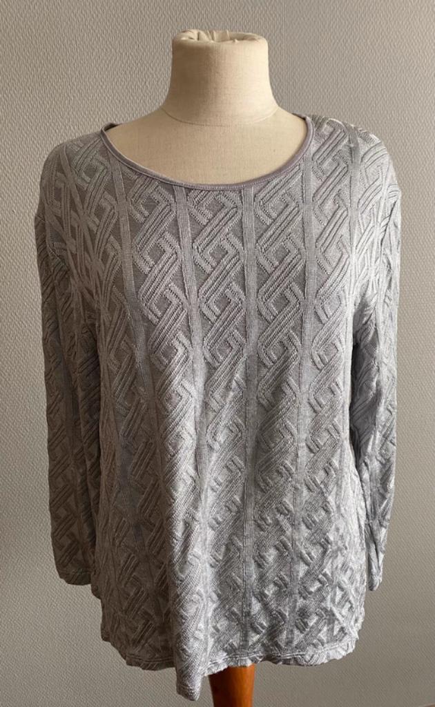 Grijs truitje Devernois maat 46, Kleding | Dames, Verzenden, Maat 46/48 (XL) of groter, Zo goed als nieuw, Grijs