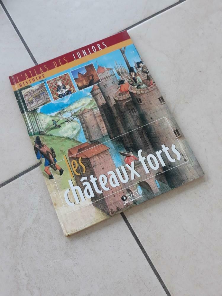 Livre : les châteaux forts., Ophalen of Verzenden, Nieuw