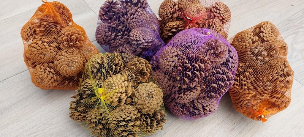 6 sacs de 15 pommes de pin chacun pour décoration., Enlèvement ou Envoi, Neuf