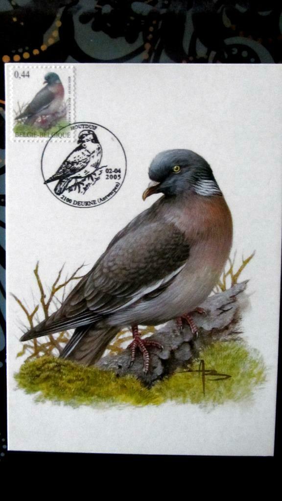 FIRST DAY OP KAART- VOGELS VAN BUZIN- DE HOUTDUIF, Ophalen of Verzenden, Gestempeld, Dier of Natuur