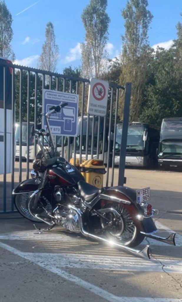 Softail Deluxe “Chicano” gekeurd voor verkoop, Motoren, Particulier