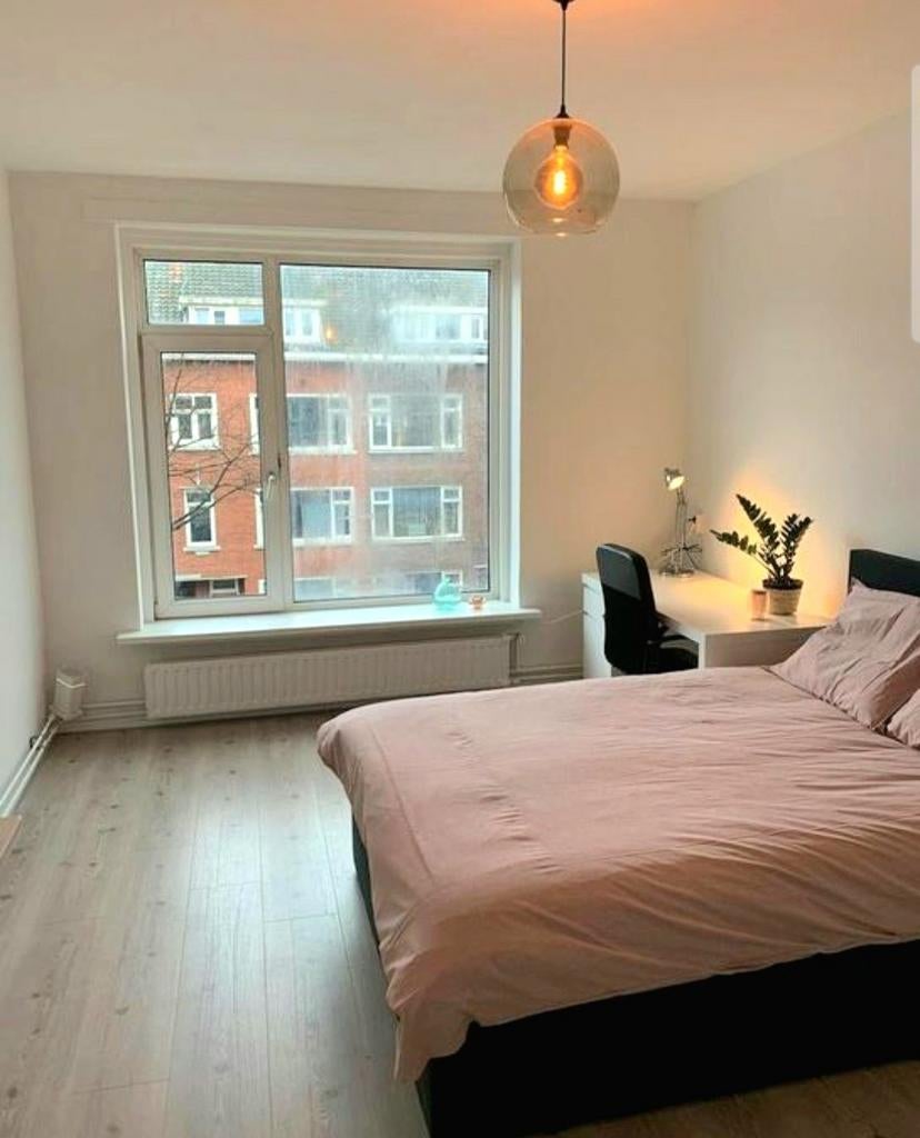 Kamer te huur in gezellig appartement (co-housing), Immo
