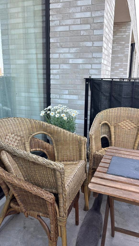 Sfeervolle Rotan Tuinset – Klap Tafel + 2 Stoelen, Tuin en Terras, Tuinsets en Loungesets, Zo goed als nieuw, Tuinset, Rotan, Ophalen