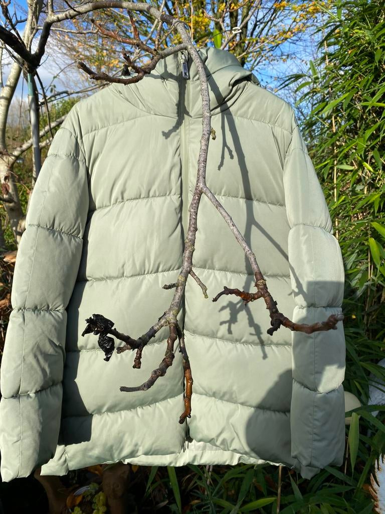 Warme, lichtgroene winterjas XXL, MNG, Kleding | Dames, Jassen | Winter, Ophalen, Zo goed als nieuw