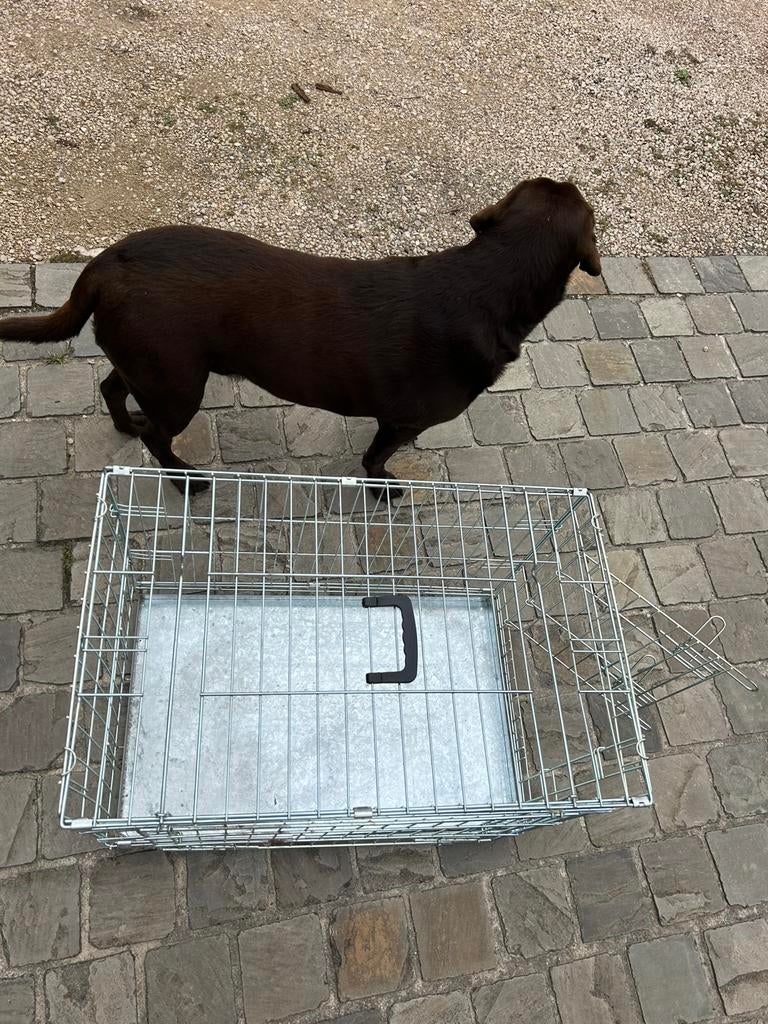 Hondenbench, Ophalen, Zo goed als nieuw
