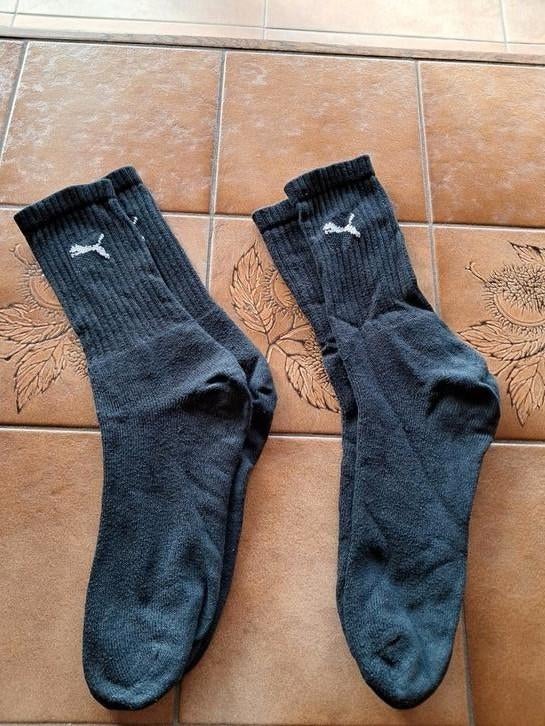 Lot de 2 paire de chaussettes Slazenger, Vêtements | Hommes, Chaussettes & Bas, Taille 39 à 42, Enlèvement ou Envoi, Slazenger