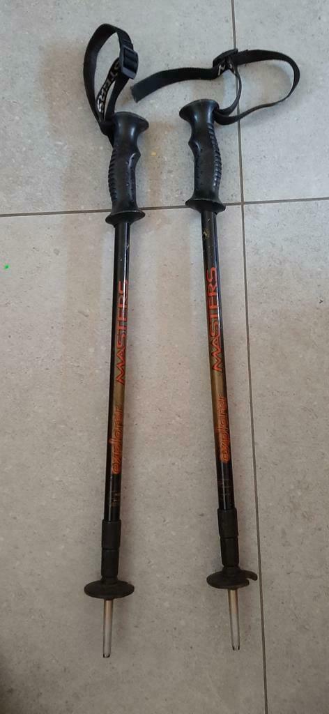 bâtons de ski explorer masters, Enlèvement ou Envoi