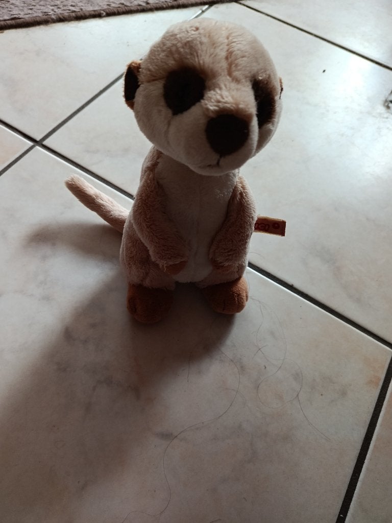knuffel stokstaartje  (doos ava), Ophalen of Verzenden, Nieuw, NICI