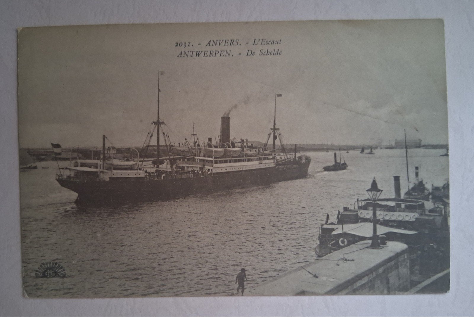vintage Postkaart De Schelde in Antwerpen, Verzamelen, Ophalen of Verzenden, Antwerpen