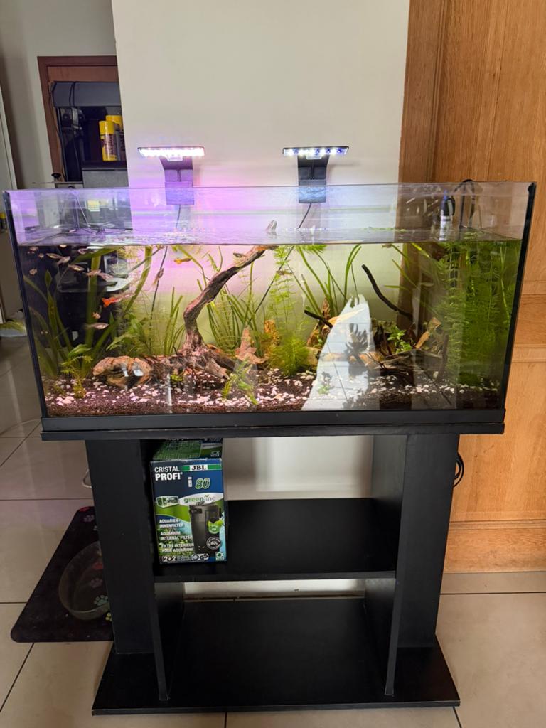 Aquarium 110l complet, Ophalen, Gebruikt, JBL, Gevuld zoetwateraquarium
